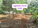 thumbnail-di-juall-tanah-kebun-murah-luas-2400-meter-surat-shm-4