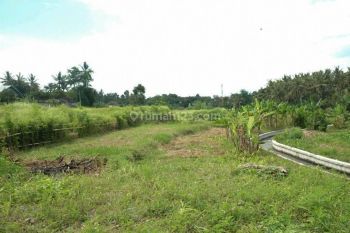 Jual Tanah Celuk Sukawati Gianyar Bali view Sawah Cocok Villa