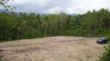 tanah kavling murah di jogja SHM