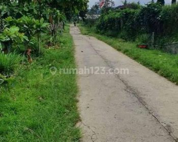 Dijual tanah kebun , kontur datar , pinggir jalan