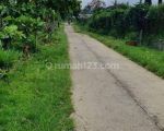 thumbnail-dijual-tanah-kebun-kontur-datar-pinggir-jalan-0