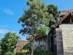 thumbnail-villa-bagus-dan-nyaman-disewakan-area-sanur-6