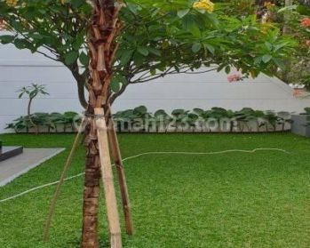 Rate Usd 4000 month ,near Jis School.