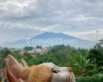 thumbnail-lokasi-villa-view-gunung-salak-ada-aliran-sungai-sejuk-di-caringin-bogor-10