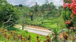 thumbnail-lokasi-villa-view-gunung-salak-ada-aliran-sungai-sejuk-di-caringin-bogor-6