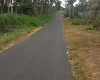 Tanah Luas Cocok Untuk Perkebunan Dan InvestasiRow Jalan Lebar