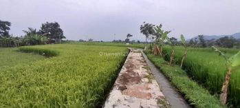 Jual Sawah Yang Berpotensi Terkena Jalur Toll Sukabumi - Cianjur