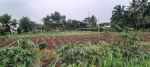 thumbnail-jual-sawah-yang-berpotensi-terkena-jalur-toll-sukabumi-cianjur-3