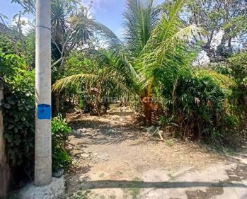 TANAH SIAP BANGUN COCOK UNTUK DIBANGUN VILLA DI PECATU