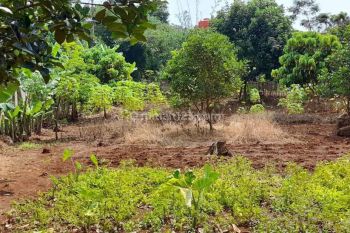 Tanah siap bangun SHM 1480 m² di Gondoriyo Ngaliyan Semarang Barat