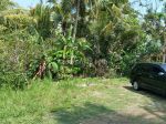 thumbnail-jual-tanah-villa-dekat-bandara-yia-jogja-shm-ada-3