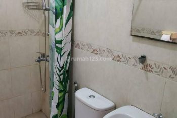 Sewa Murah Rumah Asri Di Komplek Perumahan Elit Singgasana Pradana