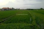 thumbnail-tanah1000-m210-are-super-langka-full-view-sawah-super-langka-siap-bangun-di-12