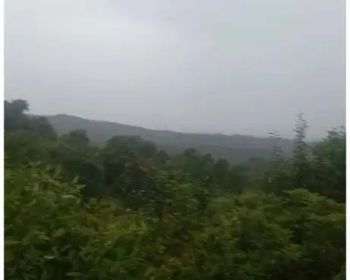 Sell Tanah: Kebun milik sendiri