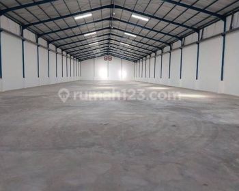 Special New Warehouse Bumi Maspion Romokalisari