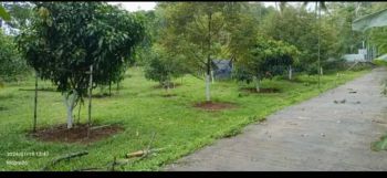 Dijual pekarangan kebun duren dijatimulyo karanganyar