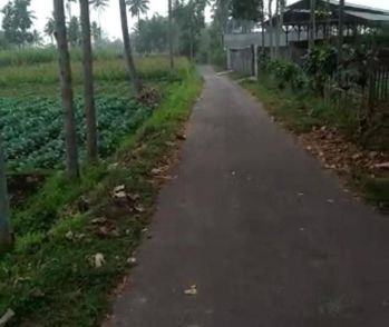 Dijual Tanah Poncokusumo Malang untuk Kebun atau Invenstasi