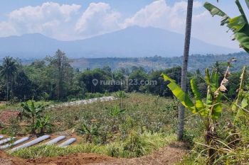Tanah kebun jambu kristal seluas 19000m².dekat ke pintu toll sukabumi