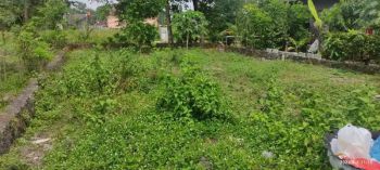 Tanah Pekarangan Murah Strategis Di Maguwoharjo Depok Sleman