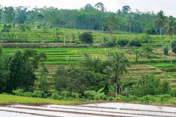 Tanah Strategis di Cipanas Cianjur , dekat kawasan wisata Taman bunga