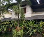 thumbnail-rumah-di-bintaro-jaya-sektor-9-lingkungan-nyaman-dan-asri-178-11