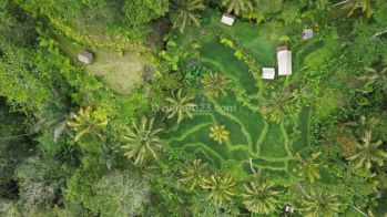 Land For Sale Freehold In Payangan, Gianyar, Udb 031