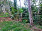 thumbnail-tanah-kebun-kopi-murah-banget-di-malang-raya-3