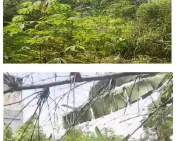 Tanah Kosong Cocok Untuk Perumahan Di Raya Padjajaran Bogor S6863