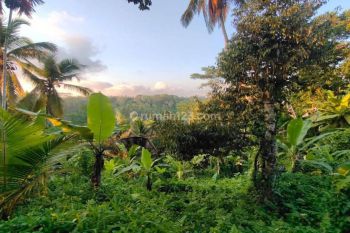 Dijual lahan di Sebatu view lemah hills dan jungle