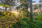 thumbnail-dijual-lahan-di-sebatu-view-lemah-hills-dan-jungle-1