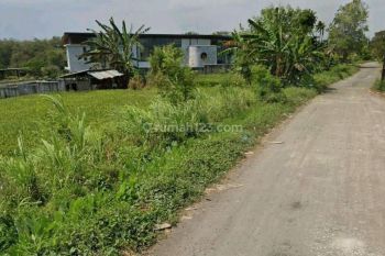 Disewakan Sebidang Tanah Kosong Dekat Ke Pantai Nyanyi View Sawah
