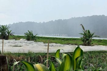 Sale Tanah: BESUTIFUL LAND