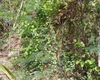 Di jual tanah view kota