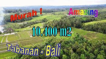 Akses Pinggir Jalan 10,400 m2 Perkebunan Dominan Datar