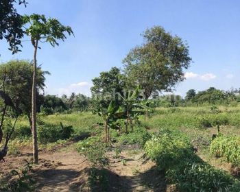 Dijual tanah di Cikupa Tangerang samping Citra Raya