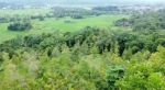 thumbnail-di-juall-tanah-kebun-dan-villa-murah-surat-shm-4