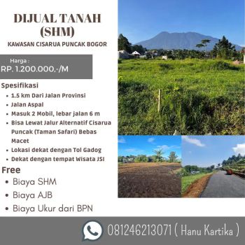 tanah pinggir jalan aspal