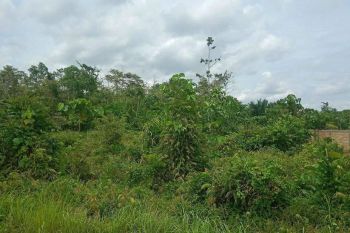 Jual tanah Murah Lokasi Strategis