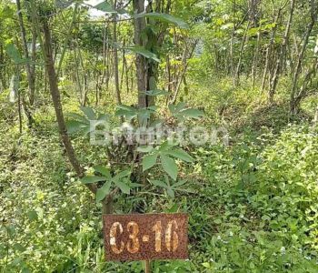 Tanah kavling produktif, menghasilkan pasif income