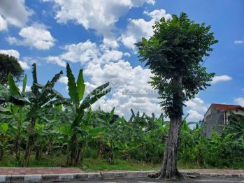 Dijual Tanah Murah  Strategis 1800m2 Dekat Rumah Sakit  Magelang