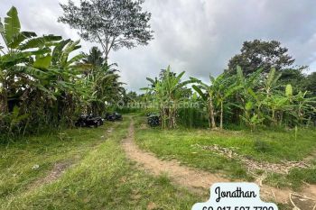 Dijual Atau Disewakan Tanah