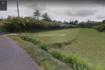 Sale Tanah: Tanah wisata turi