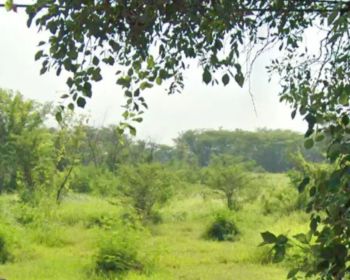 Tanah murah burneh bangkalan madura