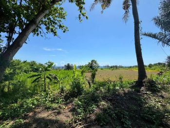 Ocean View And Rice Paddy View Land In Keramas, Gianyar, Bali