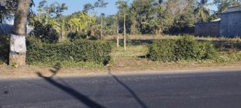 Tanah Murah di Curungrejo Poros Kepanjen Malang