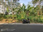 thumbnail-tanah-berhawa-sejuk-lokasi-dekat-wisata-buken-purwokerto-0