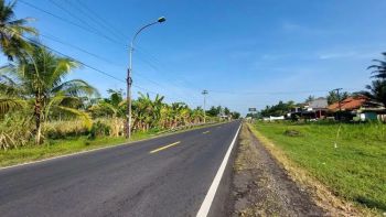Tanah 1,1 Hektar Barat Bandara NYIA Jalan Daendels