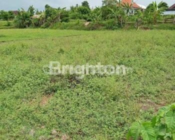 Tanah seluas 20 Are berlokasi di Jl.Leli di Desa Baler Bale Agung Kecamatan Bali