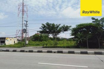 Disewakan Tanah Strategis Jalan Raya Lamongan Babat gembong