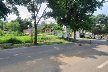 Tanag di Mangunharjo Tembalang Dekat Pasar Meteseh